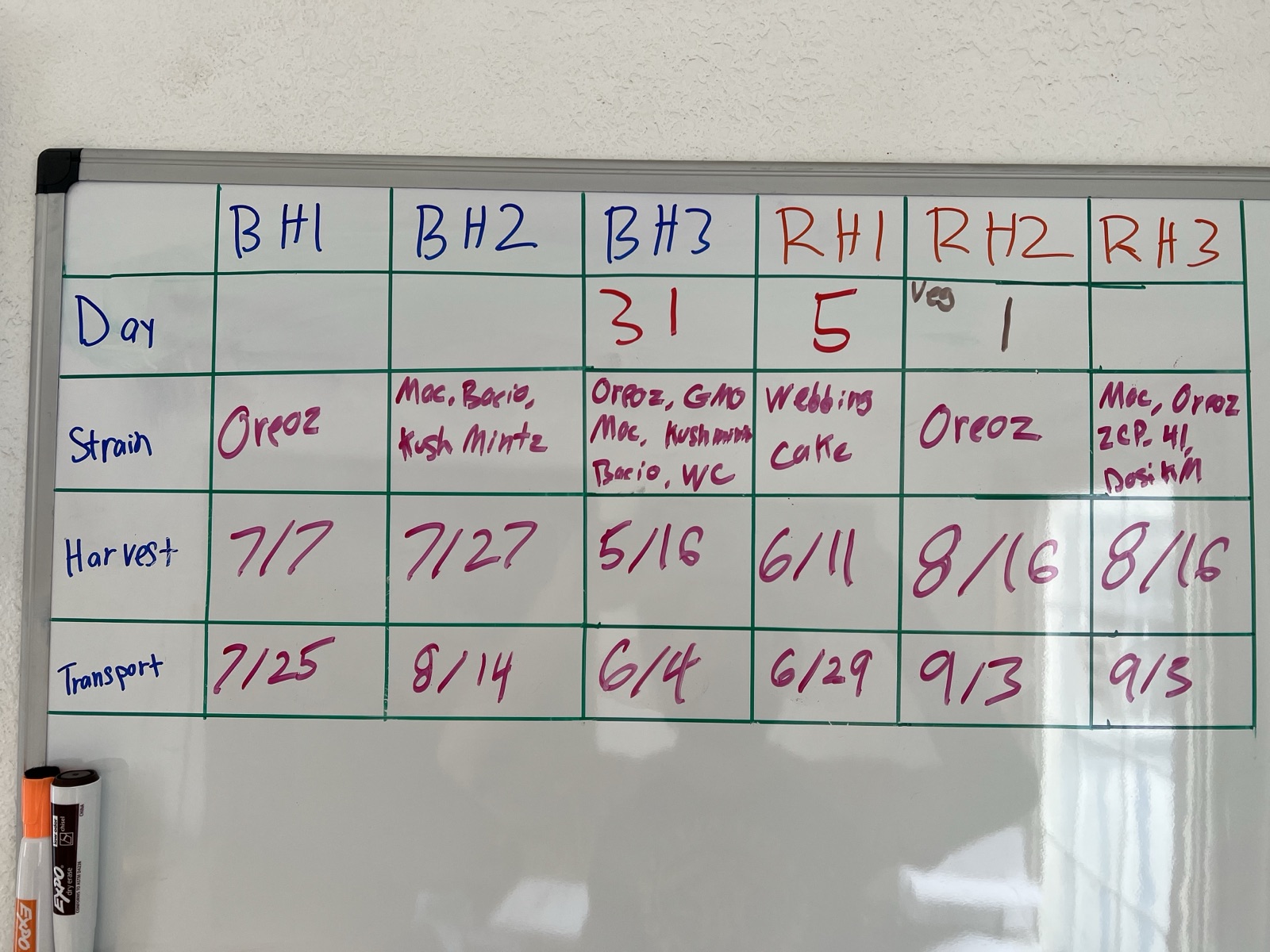 Whiteboard at Wildcreek Farms — BH1, BH2, BH3, RH1, RH2, RH3 columns tracking day count, strain (Oreoz, Mac, Bacio, Kush Mints, Wedding Cake, GMO), harvest date, and transport date for each room.